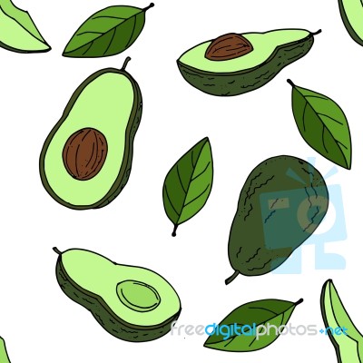 Avocado Seamless Pattern By Hand Drawing On White Backgrounds Stock Image