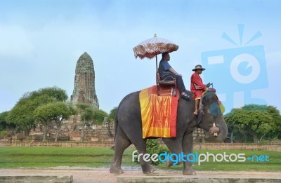 Ayuttaya Thailand - September 18, 2016: Tourists Ride Elephants  Image Id:485759761 Stock Photo