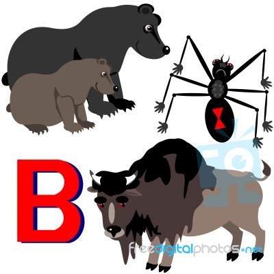 B Bear, Bison And Black Widow  Stock Image
