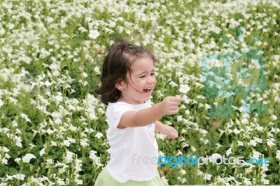 Baby Girl In Garden Of Flowers Stock Photo