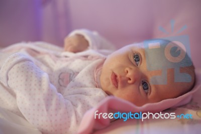 Baby Girl Rests In The Cradle Stock Photo