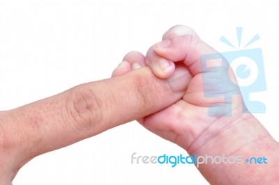 Baby Hand Gently Holding Adult's Finger Stock Photo
