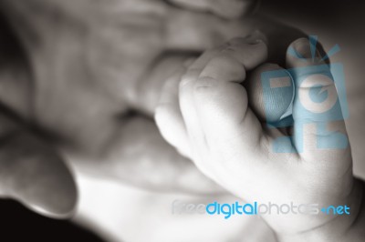 Baby Hand Holding Mother's Finger Stock Photo