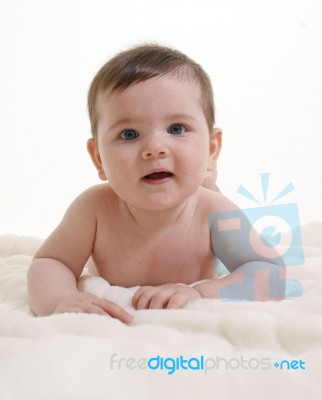 Baby On Front Stock Photo