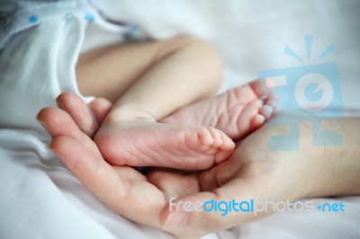 Baby's Feet In Mother Hand Closeup Stock Photo