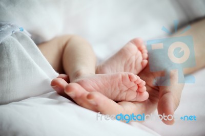 Baby's Feet In Mother Hand Closeup Stock Photo