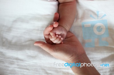 Baby's Hand Hold By Mother Hand Closeup Stock Photo Baby's Hand Hold By Mother Hand Closeup Stock Photo