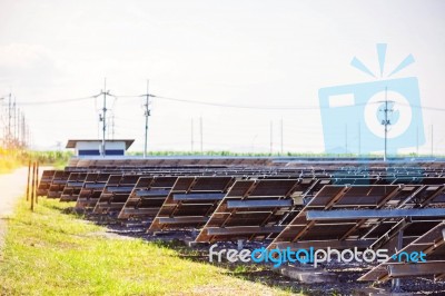 Back Of Solar Panels On The Lawn Stock Photo