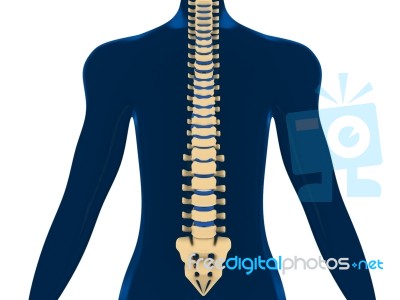 Back Pain, Spine, Backache Stock Image