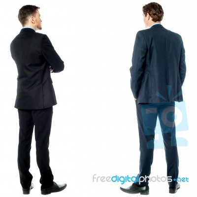 Back Pose Of Handsome Young Corporates Stock Photo