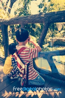 Back View. Happy Family. Sibling Photographing Outdoors On Summer Day Stock Photo