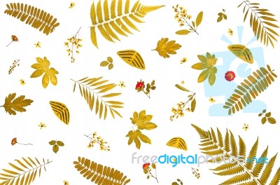Background By Yellow Leaves And Orange Leaves And Dry Leaves And Flower Stock Photo