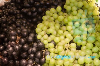 Background Of Blue And Green Grapes Stock Photo