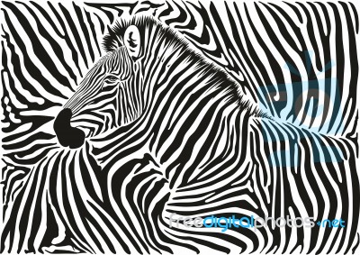 Background With A Zebra Motif Stock Image