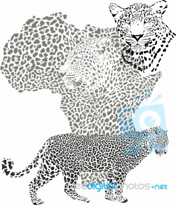 Background With Map Of African Continent With Leopard Stock Image