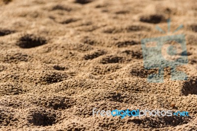Background With Texture Of Sand And Dune In The Summer Stock Photo