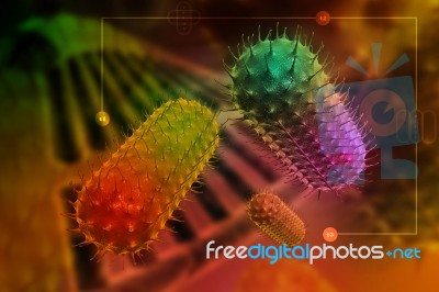 Bacteria Cells Stock Image