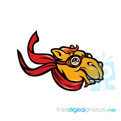 Bactrian Camel Aviator Mascot Stock Image