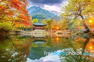 Baekyangsa Temple In Autumn,naejangsan Park In Korea Stock Photo