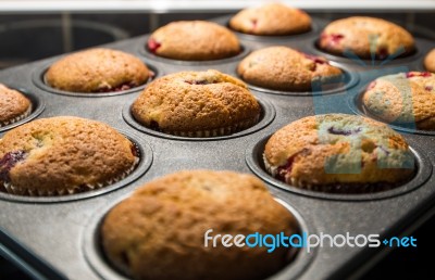 Baking Cupcakes Stock Photo