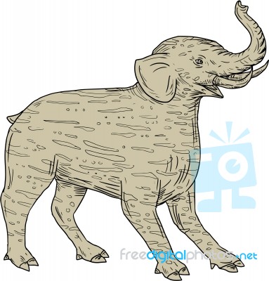 Baku Side Drawing Stock Image Baku Side Drawing Stock Image