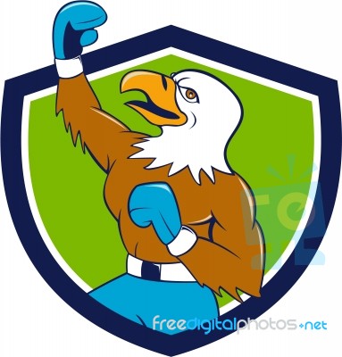 Bald Eagle Boxer Pumping Fist Crest Cartoon Stock Image