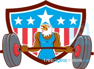 Bald Eagle Weightlifter Barbell Usa Flag Stock Image