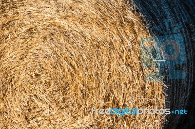 Bales Of Hay Stock Photo