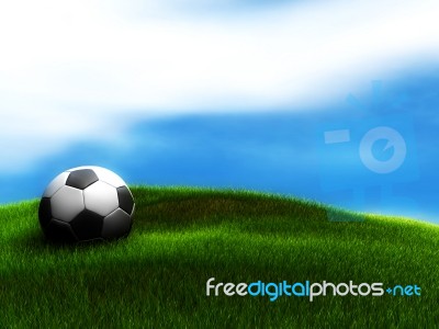Ball In The Grass Stock Image