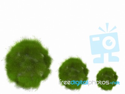 Ball  Of Grass And Reflection In The Water Stock Image