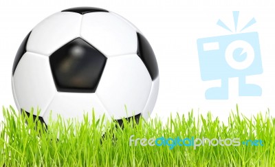 Ball Soccer Stock Image