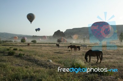 Balloons And Horses At Valley In Cappadocia Stock Photo