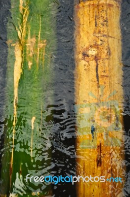 Bamboo Under Water Stock Photo