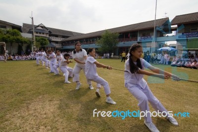 Bangkok, Thailand - Nov 2016: In The Nov 23, 2016. Youth Tug Of War, In Pieamsuwan Elementary School Stock Photo