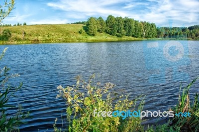 Bank Of The River Stock Photo