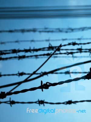 Barbed Wire Stock Photo