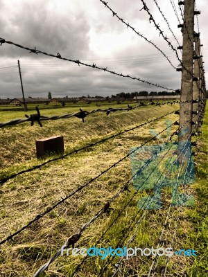 Barbed Wire Fence Stock Photo