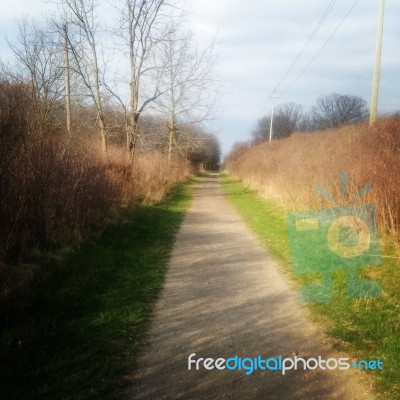 Bare Bushes And Trees Along Nature Path Stock Photo