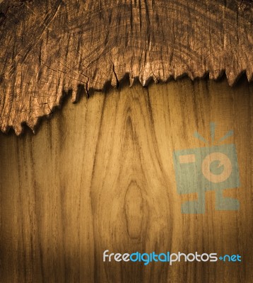 Bark Wood Use For Natural Textured And Background Stock Photo