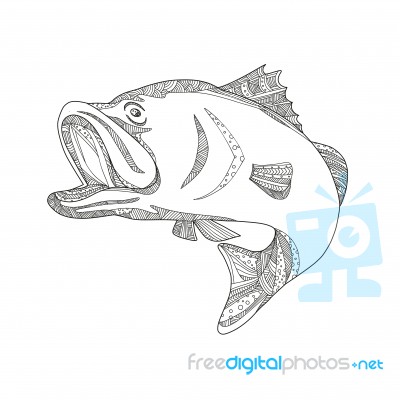 Barramundi Jumping Doodle Art Stock Image