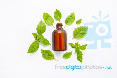 Basil Essential Oil With Basil Leaves On White Stock Photo