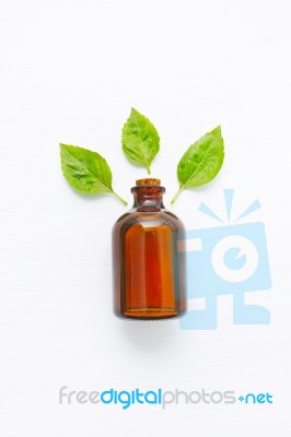 Basil Essential Oil With Basil Leaves On White Stock Photo