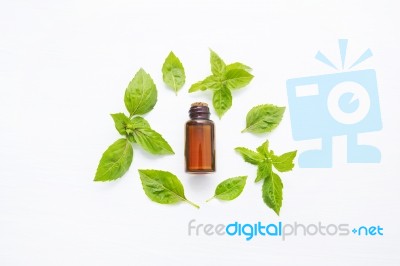 Basil Essential Oil With Basil Leaves On White Stock Photo