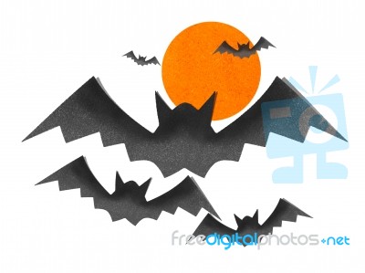 Bat Halloween By Cork Board Stock Image