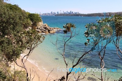 Beach, Stock Photo