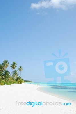 Beach Paradise With Palm Trees Stock Photo