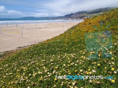 Beach Volleyball Net Stock Photo