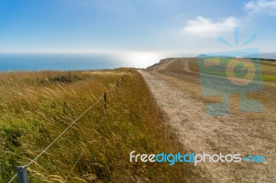 Beachey Head, Sussex/uk - July 23 : Where The South Downs Mee Th… Stock Photo