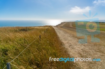 Beachey Head, Sussex/uk - July 23 : Where The South Downs Mee Th… Stock Photo