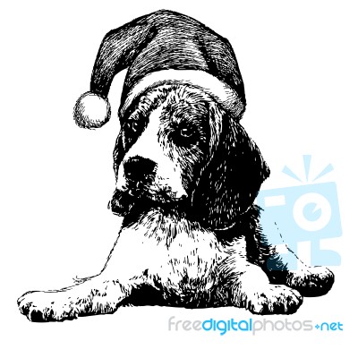 Beagle Dog With Christmas Santa Hat Stock Image